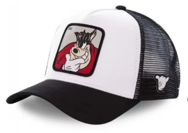 Disney Casual Cap